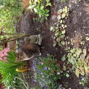 Meet your Posher, Daija